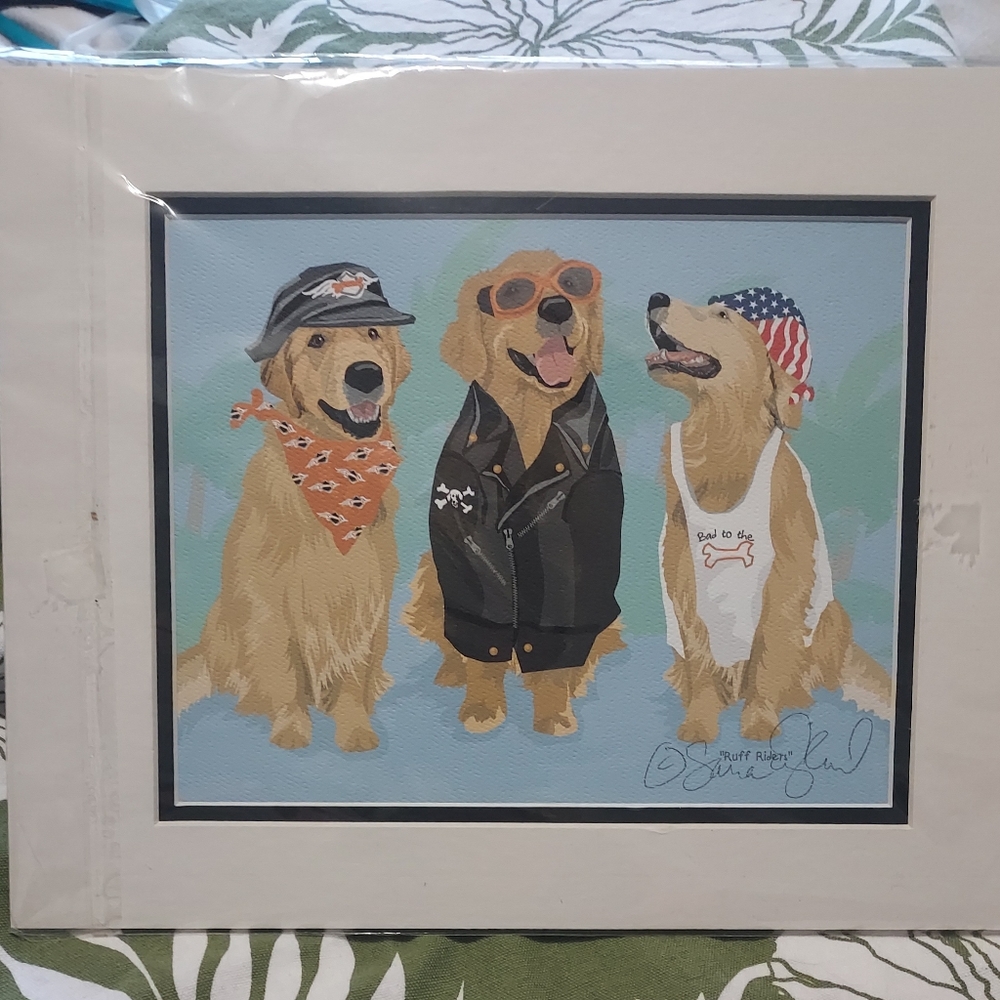 Ruff Riders